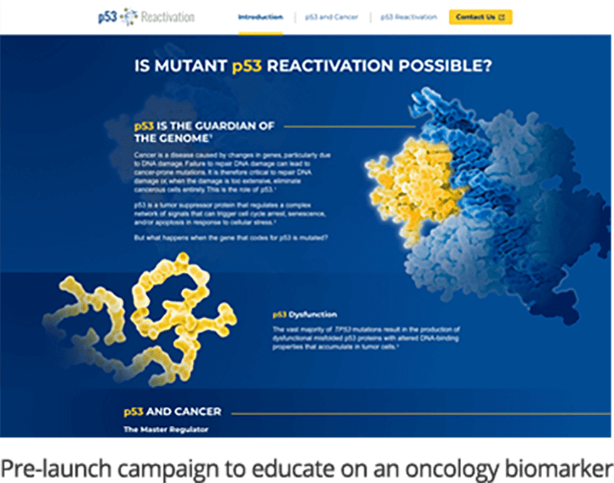 p53 - Pre-launch education campaign for an oncology biomaker 