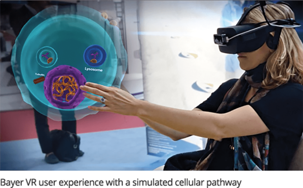 Bayer VR user experience with a simulated celluar pathway